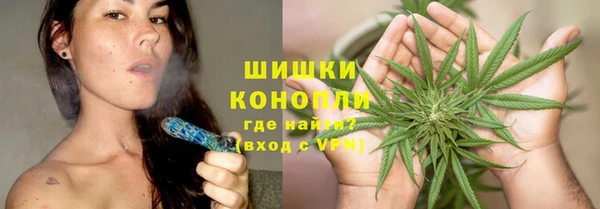 трава Бородино