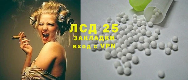 трава Бородино