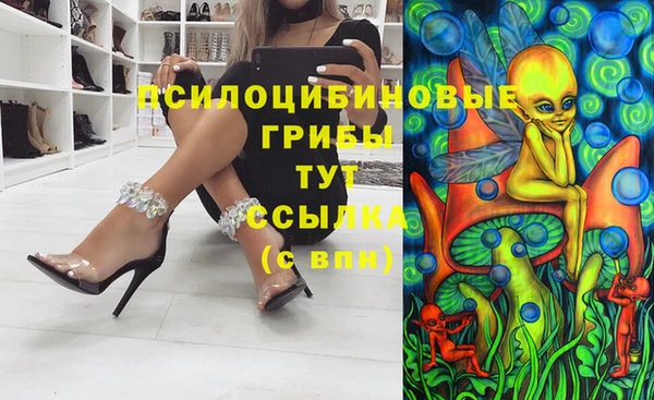 трава Бородино