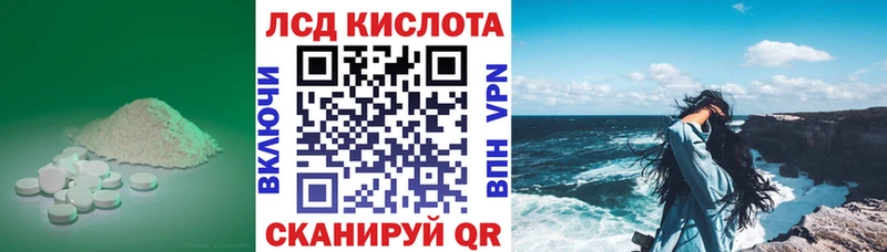 shop наркотические препараты  Губкин  ЛСД экстази кислота 