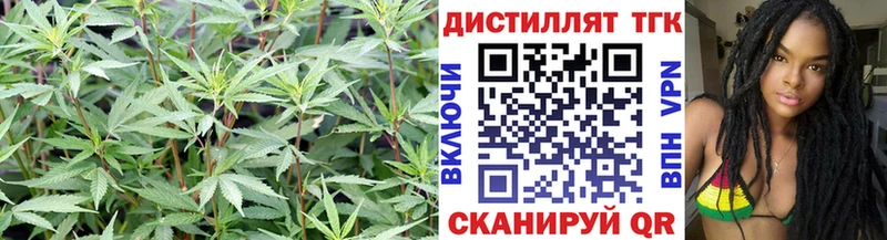ТГК вейп  даркнет сайт  Губкин 